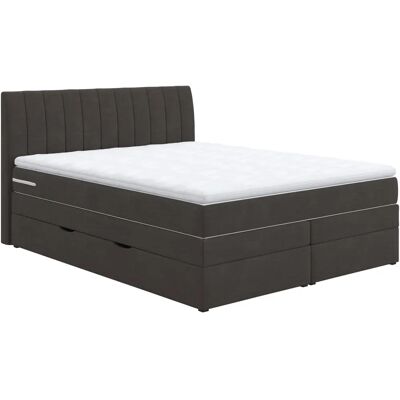 COTTA - Shark - 166x212 cm - Boxspringbett COTTA - Shark - 166x212 cm - Boxspringbett