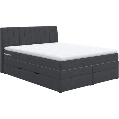 COTTA - Shark - dunkelblau - weiß - Boxspring bed COTTA - Shark - dunkelblau - weiß - Boxspring bed