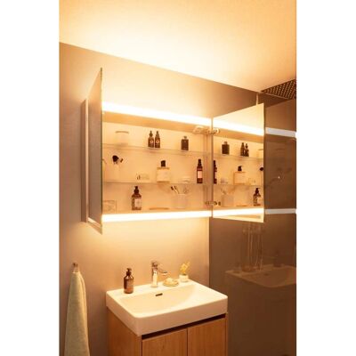 W. Schneider GmbH Silber Elox LED Spiegel - 2 Türen - 100x70cm W. Schneider GmbH Silber Elox LED Spiegel - 2 Türen - 100x70cm