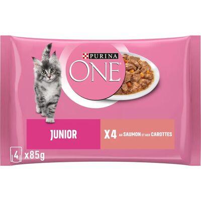 Comida Umeda Purina One com Salmão para Gatinhos - Ração para gatos Comida Umeda Purina One com Salmão para Gatinhos - Ração para gatos