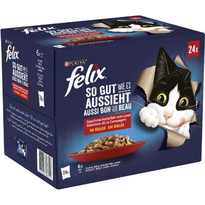 Felix Mehrfach-Geschmacks Katzenfutter - 85g Beutel Felix Mehrfach-Geschmacks Katzenfutter - 85g Beutel