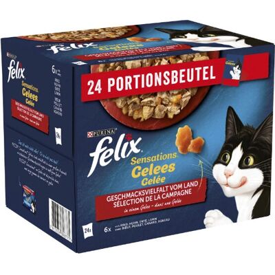 Felix Modell 12449401 - Nassfutter für Katzen Felix Modell 12449401 - Nassfutter für Katzen