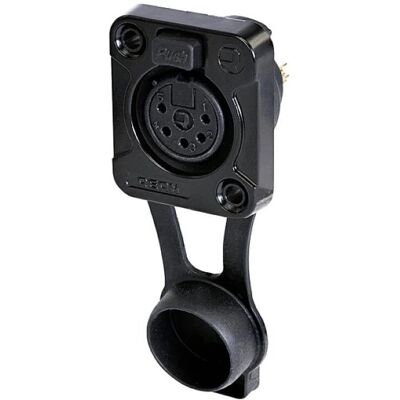 Rean Prise XLR 5 broches extérieur - IP65 - Laiton, Doré - Publicité Rean Prise XLR 5 broches extérieur - IP65 - Laiton, Doré - Publicité