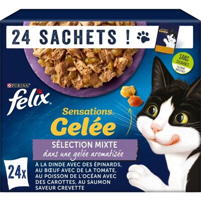 Felix Fuktfoder för Katt - Olika Smaker i Gelé & Sås - 48 Pack Felix Fuktfoder för Katt - Olika Smaker i Gelé & Sås - 48 Pack