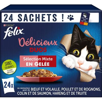 Felix Poches fraîches pour chats adultes - Meat Duos - 24 x 85 g - Publicité Felix Poches fraîches pour chats adultes - Meat Duos - 24 x 85 g - Publicité
