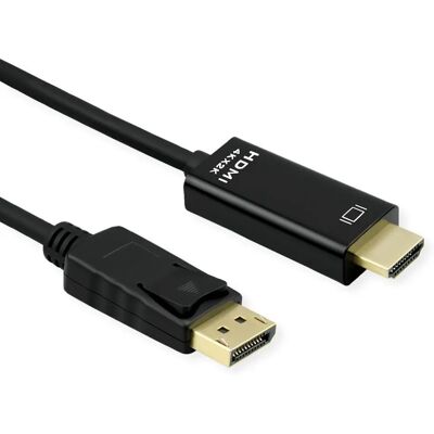 Câble DisplayPort HDMI Roline 3m Noir - Publicité Câble DisplayPort HDMI Roline 3m Noir - Publicité