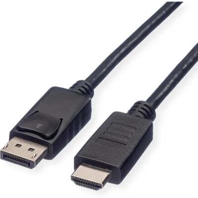 Câble DisplayPort à HDTV Roline - 2m - Publicité Câble DisplayPort à HDTV Roline - 2m - Publicité