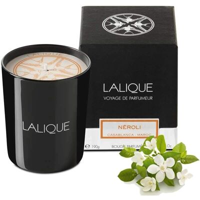 Candela Lalique Neroli Casablanca Maroc - Nera - Unisex - 190g - Candela Candela Lalique Neroli Casablanca Maroc - Nera - Unisex - 190g - Candela
