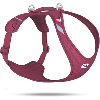Curli Ruby XL Hundegeschirr - Komfort, Verstellbar & Leicht Curli Ruby XL Hundegeschirr - Komfort, Verstellbar & Leicht