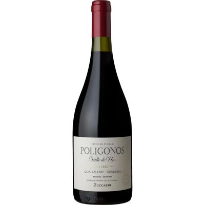 Zuccardi Polígonos Gualtallary Malbec 2020 - 75cl Zuccardi Polígonos Gualtallary Malbec 2020 - 75cl