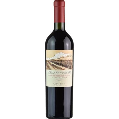 Catena Zapata Adrianna Vineyard Mundus Bacillus Terrae Malbec - Vino Rosso di Alta Quota da Mendoza Catena Zapata Adrianna Vineyard Mundus Bacillus Terrae Malbec - Vino Rosso di Alta Quota da Mendoza
