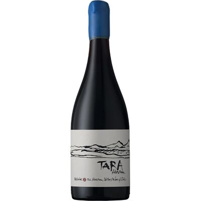Viña Ventisquero Tara Rotwein - Kraftvolle chilenische Syrah, 75cl Viña Ventisquero Tara Rotwein - Kraftvolle chilenische Syrah, 75cl