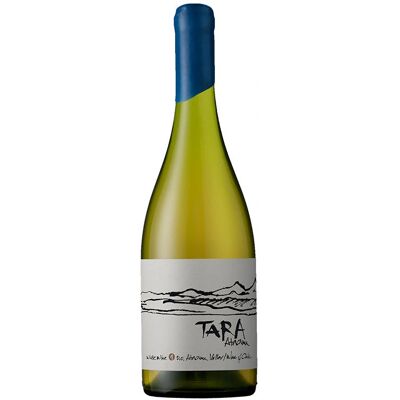Viña Ventisquero Tara Weißwein Chardonnay Crianza - Weißwein Viña Ventisquero Tara Weißwein Chardonnay Crianza - Weißwein