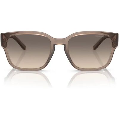 Gafas de Sol Arnette Modelo AN 4325 Tabaco Transparente Gafas de Sol Arnette Modelo AN 4325 Tabaco Transparente