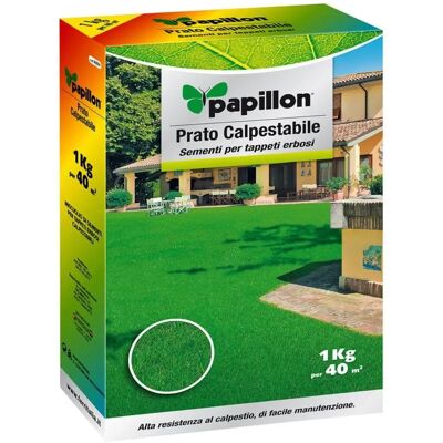 Sanco Store - Semi di Erba Alta Resistenza Papillon - 1 Kg. Sanco Store - Semi di Erba Alta Resistenza Papillon - 1 Kg.