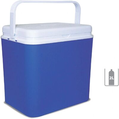 Papillon 99214 Box frigo - Passivo, Maniglie, 30L Papillon 99214 Box frigo - Passivo, Maniglie, 30L