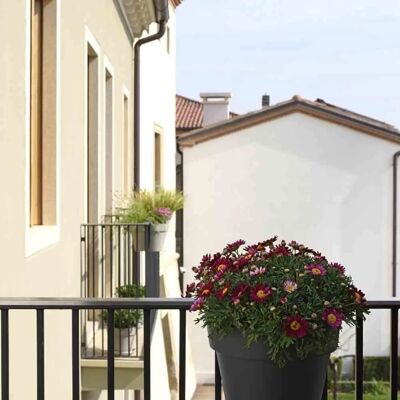 Euro 3 Plast Balkon-Hängetopf Be Up Duo mit Wasserreservoir - Hängblumentopf Euro 3 Plast Balkon-Hängetopf Be Up Duo mit Wasserreservoir - Hängblumentopf