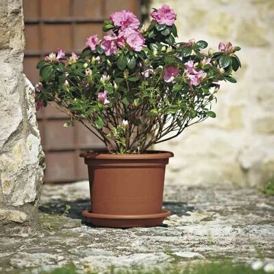EURO3PLAST Pflanzenkübel - 50cm Terrakotta - Outdoor EURO3PLAST Pflanzenkübel - 50cm Terrakotta - Outdoor