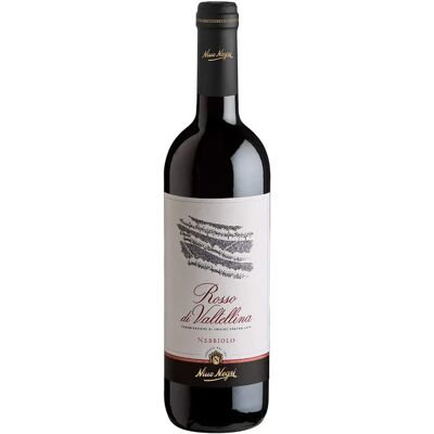 Nino Negri - Giùen Rosso di Valtellina Nebbiolo Rosso - 2023 - 750 ml Nino Negri - Giùen Rosso di Valtellina Nebbiolo Rosso - 2023 - 750 ml