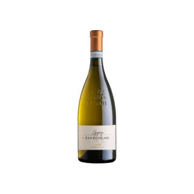 Cesari Lugana 2019 - Elegante vino bianco dal Lago di Garda Cesari Lugana 2019 - Elegante vino bianco dal Lago di Garda