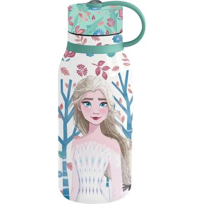 Bouteille Isotherme en Acier Inoxydable Disney Frozen - Enfants Bouteille Isotherme en Acier Inoxydable Disney Frozen - Enfants
