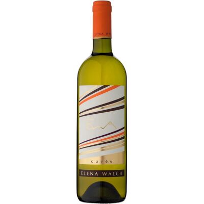 Vino Bianco Elena Walch EWA 2019 - Vino Vino Bianco Elena Walch EWA 2019 - Vino