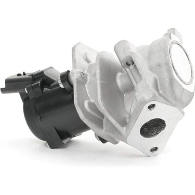 Valvulă EGR Magneti Marelli - Controlul emisiilor Valvulă EGR Magneti Marelli - Controlul emisiilor