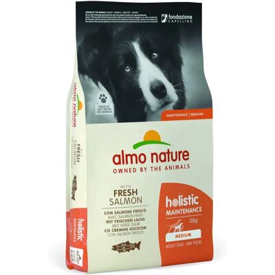 Almo Nature Hundmat - Multipack 24kg - Lax & Kyckling Almo Nature Hundmat - Multipack 24kg - Lax & Kyckling
