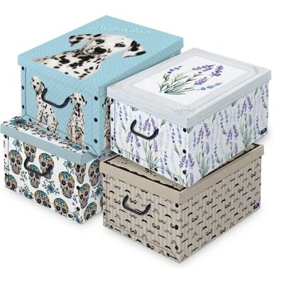 Domopak 914535 Aufbewahrungsbox - Rechteckig - Mehrfarbig Domopak 914535 Aufbewahrungsbox - Rechteckig - Mehrfarbig