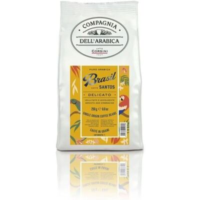Caffè Corsini - 3 x 250 g - Koffiebonen - Santos Brazilië - Corsini Caffè Corsini - 3 x 250 g - Koffiebonen - Santos Brazilië - Corsini