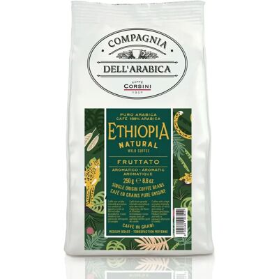 Caffè Corsini Ethiopië Harenna - 250g Koffie Caffè Corsini Ethiopië Harenna - 250g Koffie