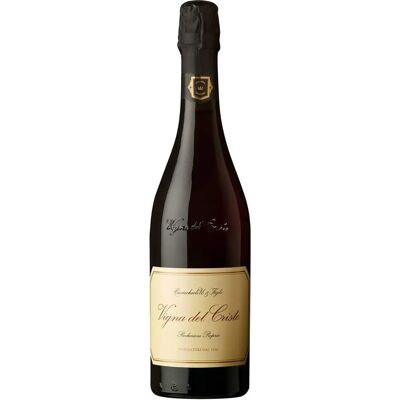 Cavicchioli Lambrusco di Sorbara Vigna del Cristo 2023 - Vino frizzante - Italia Cavicchioli Lambrusco di Sorbara Vigna del Cristo 2023 - Vino frizzante - Italia