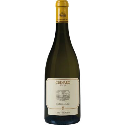 Antinori - Cervaro della Sala - 2016 - 375ml - Vino Antinori - Cervaro della Sala - 2016 - 375ml - Vino
