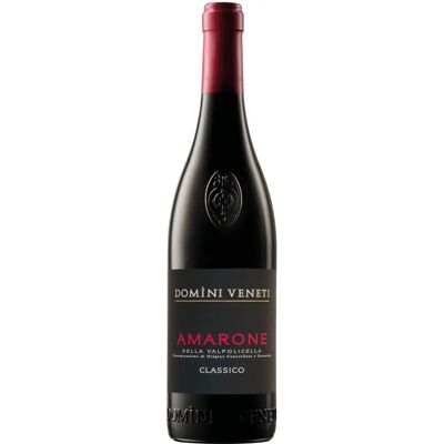Negrar - Domini Veneti Amarone della Valpolicella Classico 2020 - Wijn Negrar - Domini Veneti Amarone della Valpolicella Classico 2020 - Wijn