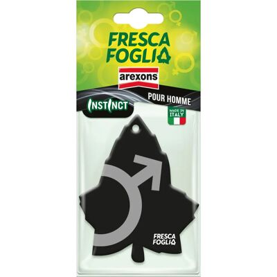 AREXONS - 1637 - Fresca Foglia - Appeso - Deodorante auto AREXONS - 1637 - Fresca Foglia - Appeso - Deodorante auto