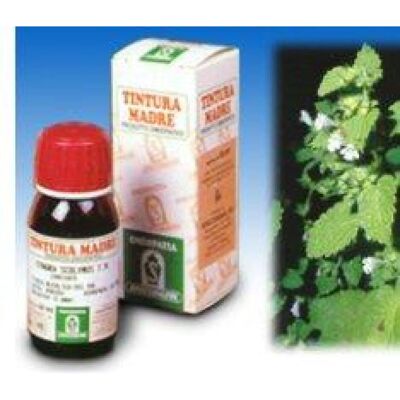 Specchiasol Melisa Officinalis Tm 17 - Estratto di erbe Specchiasol Melisa Officinalis Tm 17 - Estratto di erbe