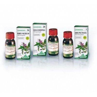 Specchiasol Gemmasol 22 Biancospino - Supporto ansia e umore - Integratore alimentare Specchiasol Gemmasol 22 Biancospino - Supporto ansia e umore - Integratore alimentare