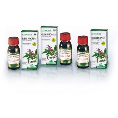 Specchiasol Gemmosol 27 Ginepro - Supporto digestivo Specchiasol Gemmosol 27 Ginepro - Supporto digestivo