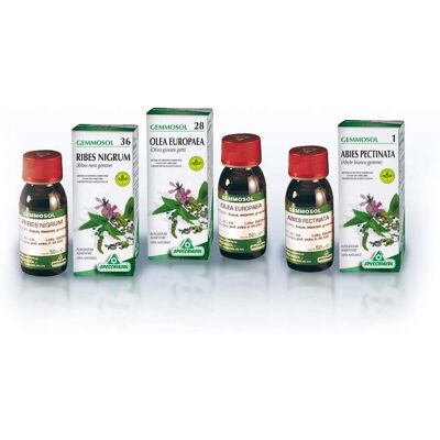 Specchiasol Gemmosol 40 Lampone - Integratore liquido - 50 ml Specchiasol Gemmosol 40 Lampone - Integratore liquido - 50 ml