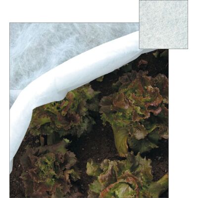Papillon 54220 Couverture de protection des plantes - Légère, UV stabilisée - Publicité Papillon 54220 Couverture de protection des plantes - Légère, UV stabilisée - Publicité