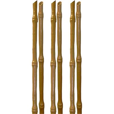 TENAX Bambusstützen Set - 120 cm Pflanzenstütze für Gemüse & Blumen TENAX Bambusstützen Set - 120 cm Pflanzenstütze für Gemüse & Blumen