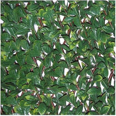 TENAX Osmanthus Künstliche Hecke - 3D, Extensibel, UV-Stabil TENAX Osmanthus Künstliche Hecke - 3D, Extensibel, UV-Stabil