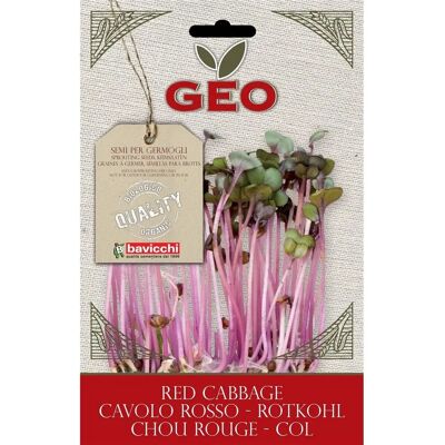 Graines Geo Pourpre Rouge - Germination de Brocoli - Graines - Publicité Graines Geo Pourpre Rouge - Germination de Brocoli - Graines - Publicité