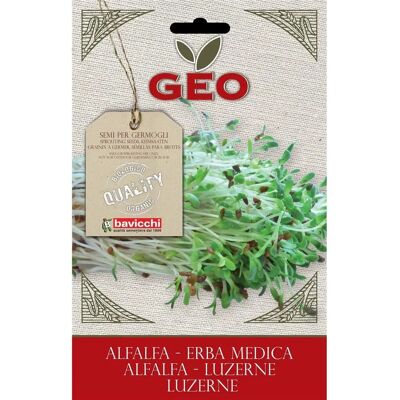 GEO Økologiske lucernesemner - 40g GEO Økologiske lucernesemner - 40g