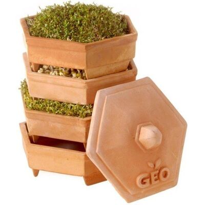 Bavicchi Terra GEO Germoir - Kit de germination - Publicité Bavicchi Terra GEO Germoir - Kit de germination - Publicité