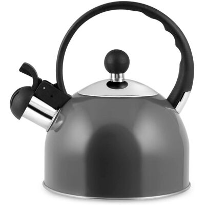 H&H Bouilloire en acier inoxydable Non - 1,5L Compatible induction - Publicité H&H Bouilloire en acier inoxydable Non - 1,5L Compatible induction - Publicité