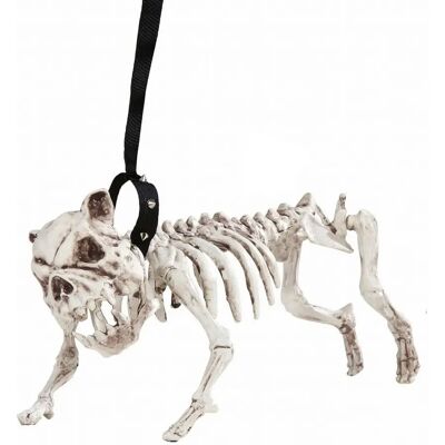 WIDMANN Squelette de chien avec laisse - 45cm - Publicité WIDMANN Squelette de chien avec laisse - 45cm - Publicité