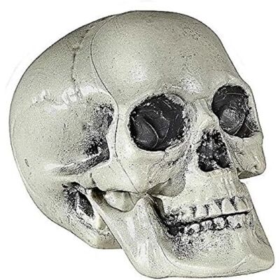 Decorazione Halloween Teschio Widmann - teschio decorativo Decorazione Halloween Teschio Widmann - teschio decorativo