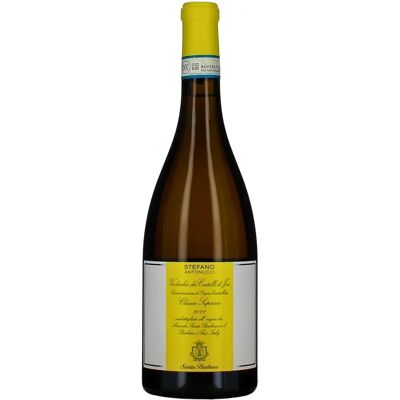 Santa Barbara Verdicchio dei Castelli di Jesi Stefano Antonucci 2022 - Vino Santa Barbara Verdicchio dei Castelli di Jesi Stefano Antonucci 2022 - Vino