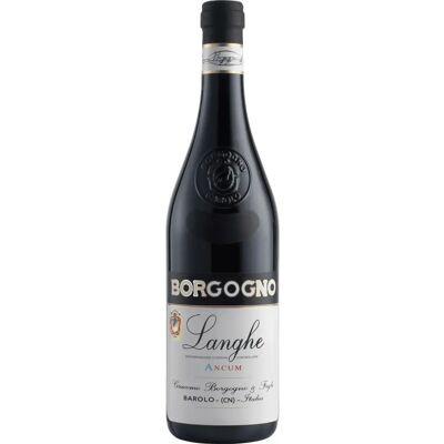 Giacomo Borgogno Dolcetto Ancum 2022 - Vino rosso Giacomo Borgogno Dolcetto Ancum 2022 - Vino rosso